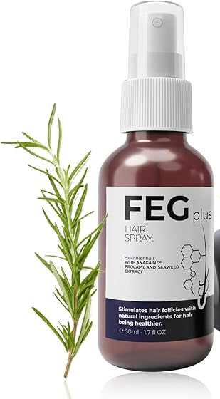 FEG – فيج